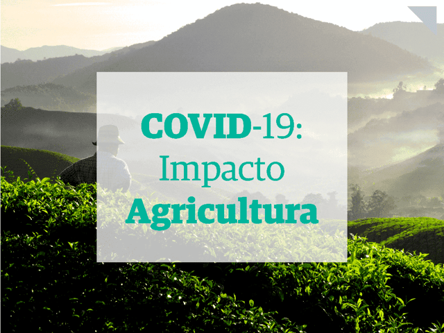 Covid-19-impacto-agricultura