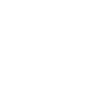 logo ECOM