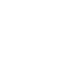 logo Iconn