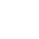 logo PINSA