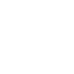 logo RYDER