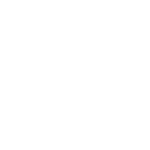 Logo de Iconn