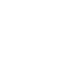 Logo de Sun Berries
